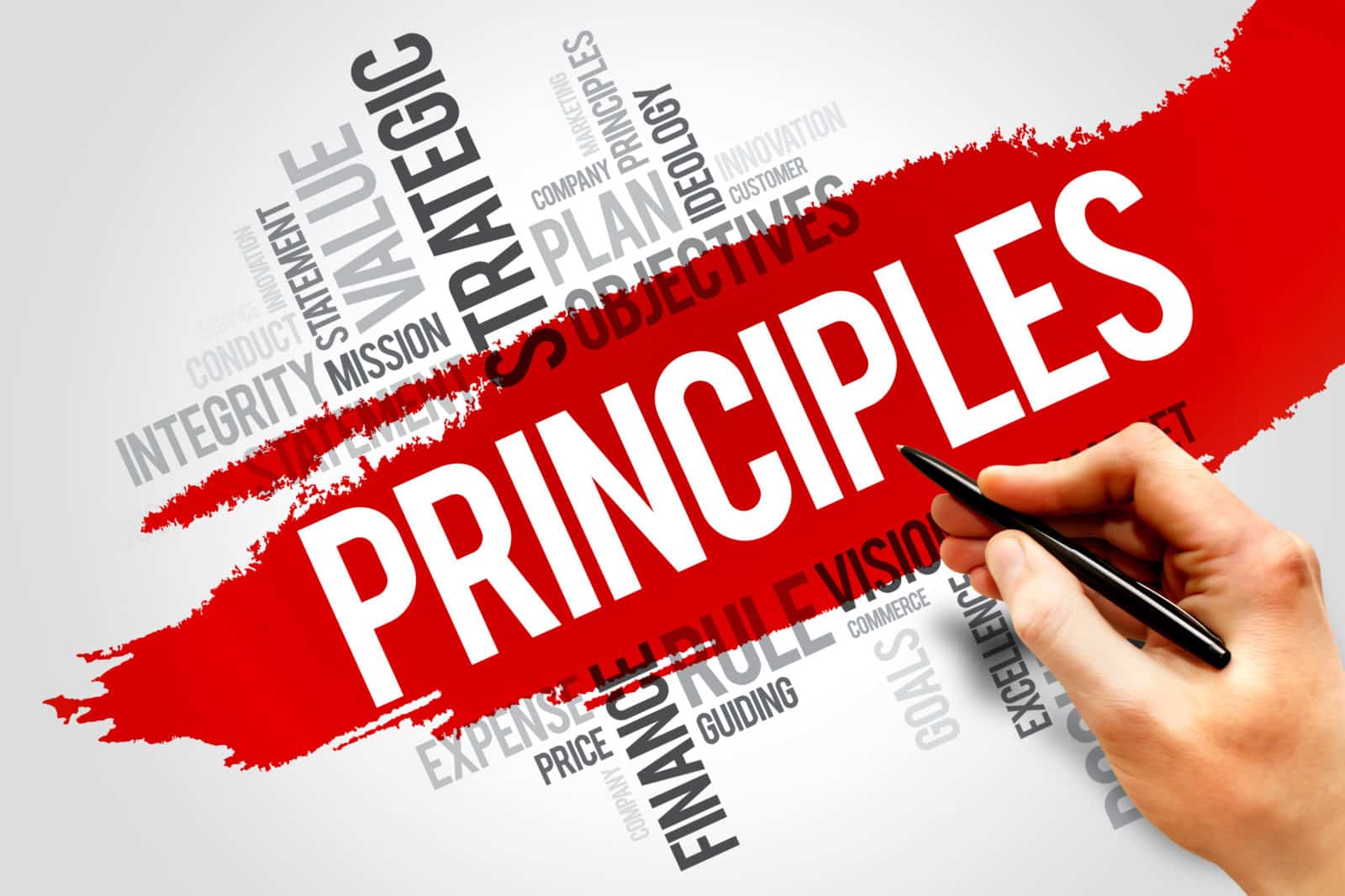 Impruver High-Performance Organization Principles