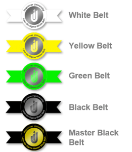 Impruver Lean Six Sigma Certification Levels